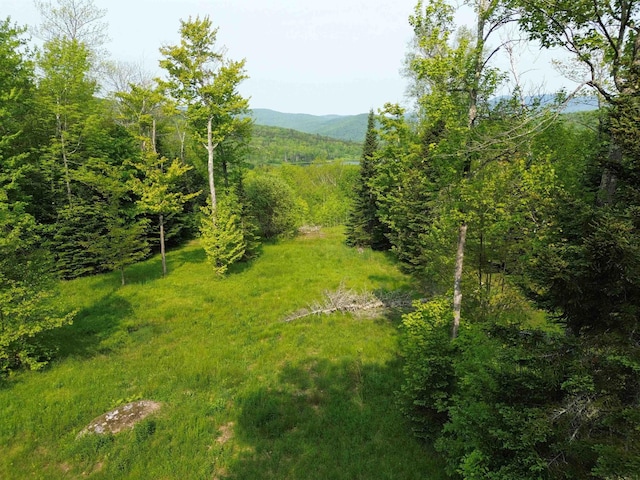 48 Alberts Ln, Warren, VT 05674