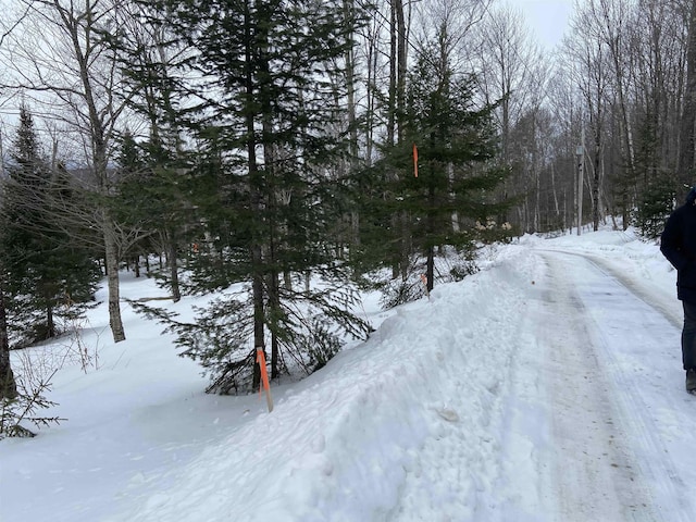 48 Alberts Ln, Warren, VT 05674