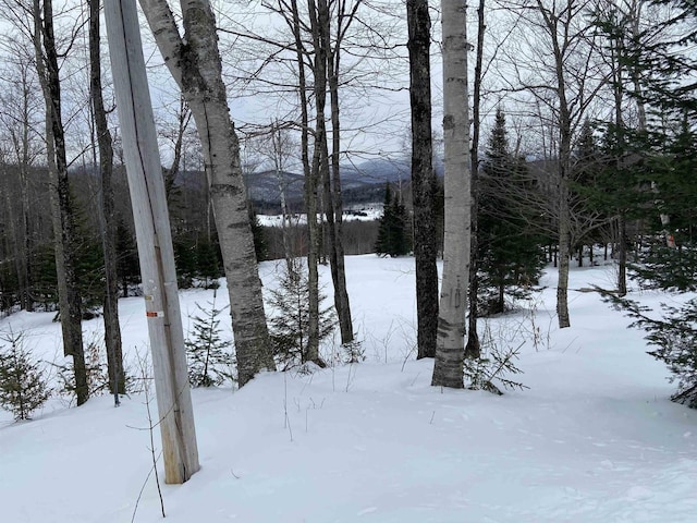 48 Alberts Ln, Warren, VT 05674