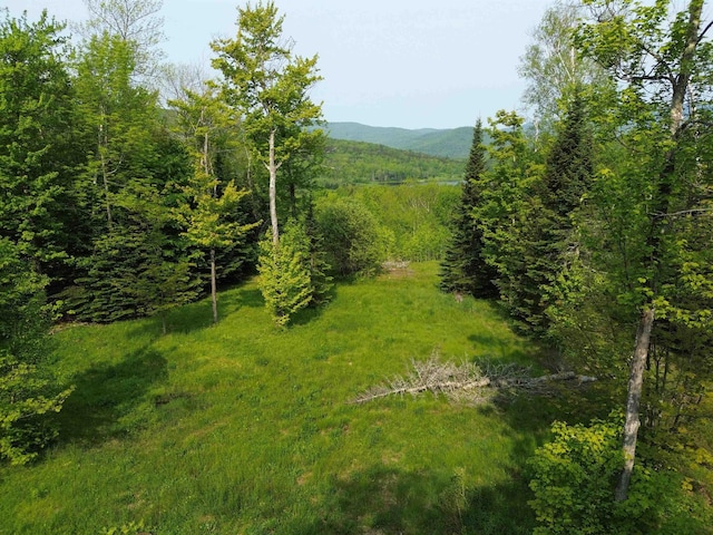 48 Alberts Ln, Warren, VT 05674