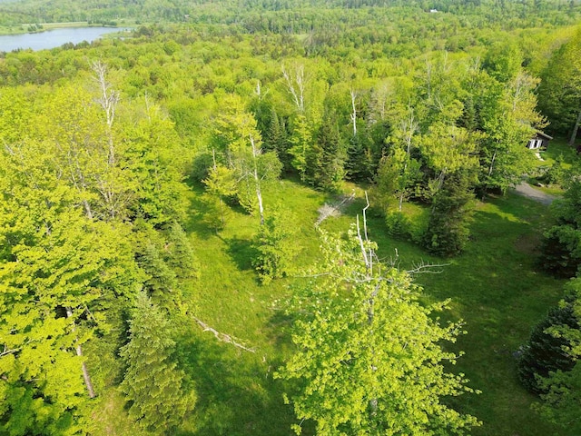 48 Alberts Ln, Warren, VT 05674