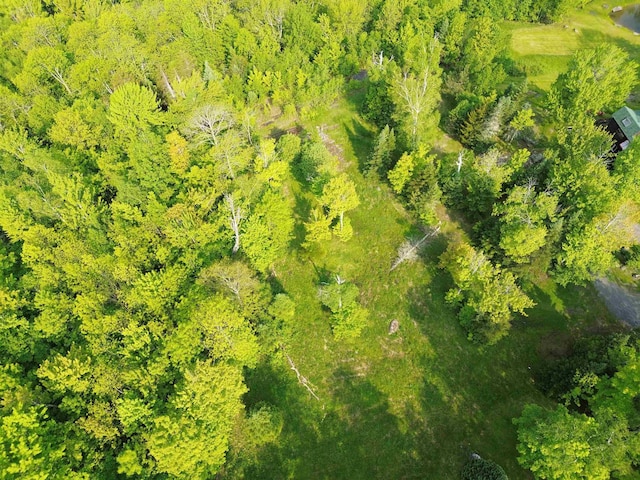 48 Alberts Ln, Warren, VT 05674