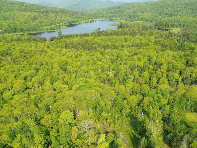 48 Alberts Ln, Warren, VT 05674