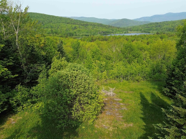 48 Alberts Ln, Warren, VT 05674