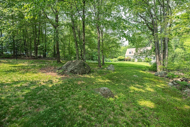20 Locke Hill Ln, Barrington, NH 03825 - view of grassy yard