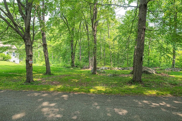 20 Locke Hill Ln, Barrington, NH 03825 - view of undeveloped land