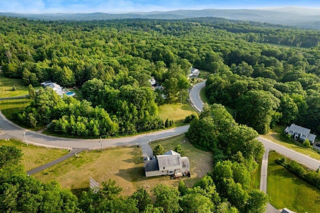 6 Samuels Ct, Dunbarton, NH 03046 - aerial view of property's location with a forest