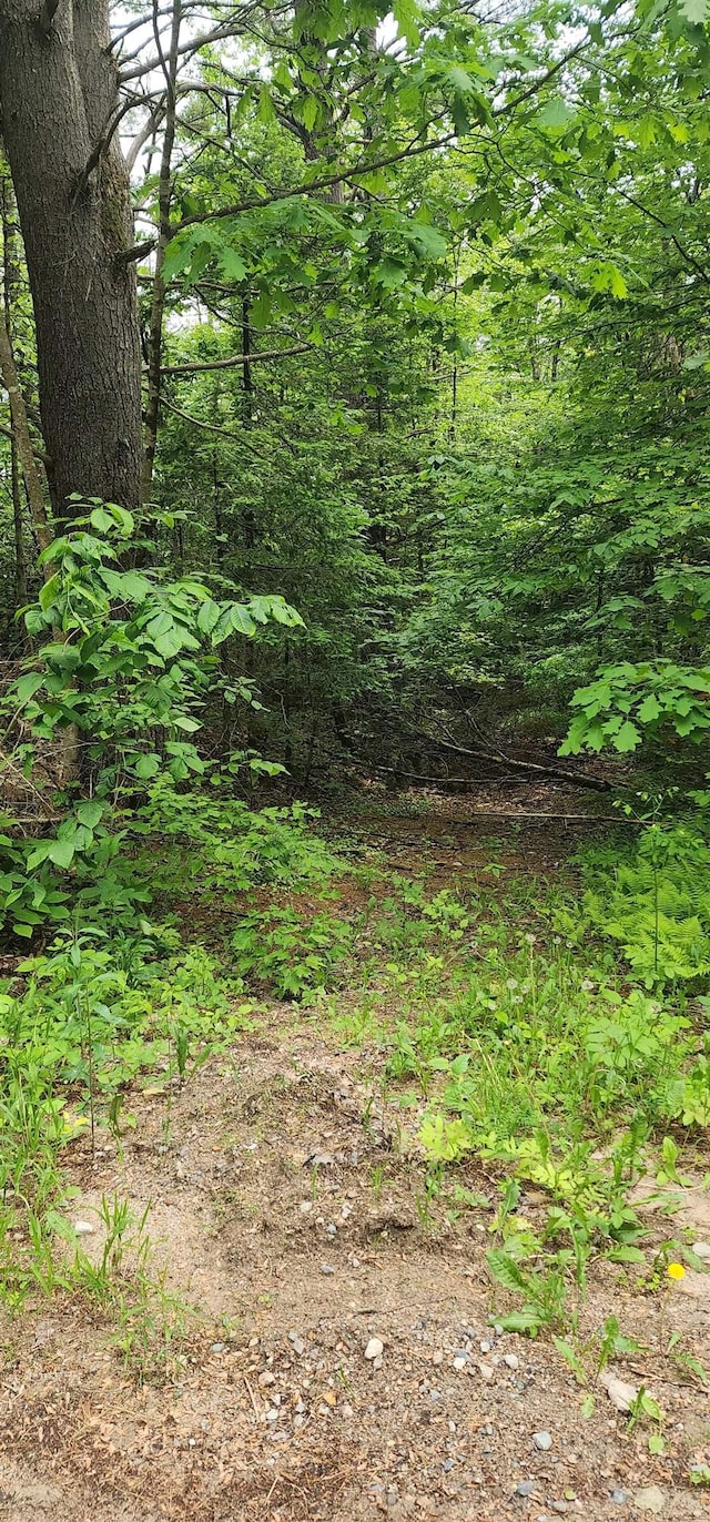Pine Ridge Rd, Middleton, NH 03887