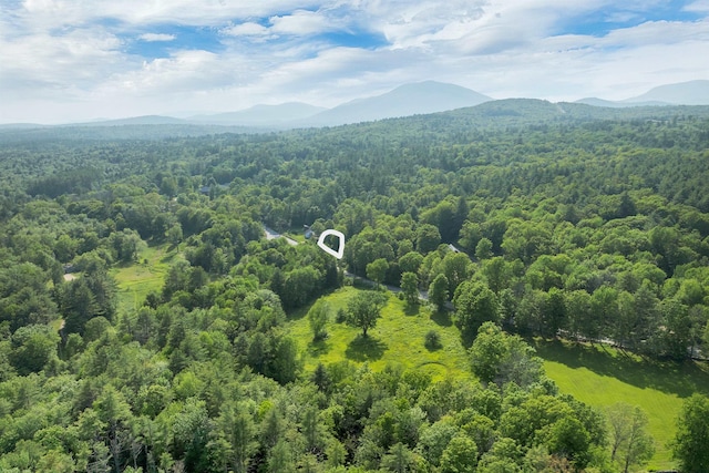 10 Whiteface Rd, Sandwich, NH 03259 - bird's eye view of a forest and a mountainous background