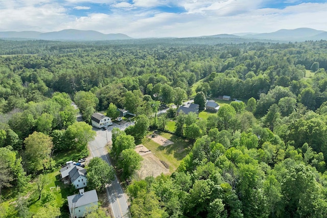 10 Whiteface Rd, Sandwich, NH 03259 - drone / aerial view of a forest and a mountain backdrop