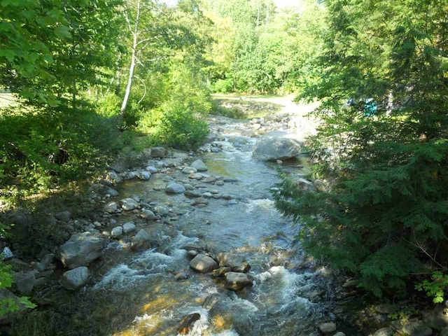 10 Whiteface Rd, Sandwich, NH 03259 - view of tree filled area