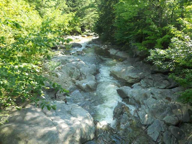 10 Whiteface Rd, Sandwich, NH 03259 - view of tree filled area