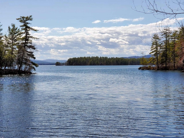 10 Whiteface Rd, Sandwich, NH 03259 - water view with a heavily wooded area