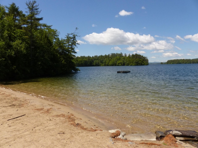 10 Whiteface Rd, Sandwich, NH 03259 - water view with a heavily wooded area