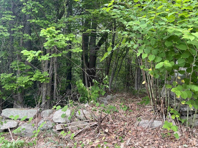 Ball Hill Rd, Milford, NH 03055