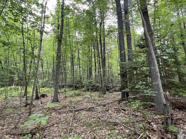 Ball Hill Rd, Milford, NH 03055