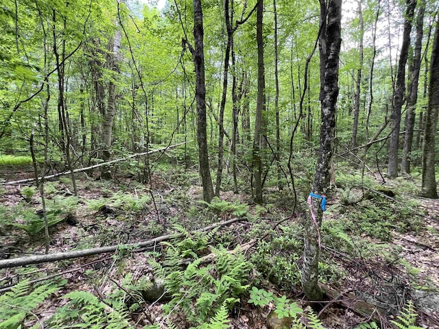 Ball Hill Rd, Milford, NH 03055