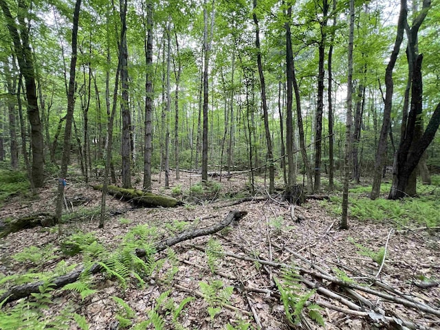 Ball Hill Rd, Milford, NH 03055