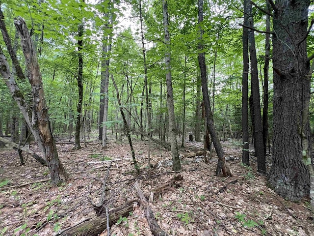 Ball Hill Rd, Milford, NH 03055