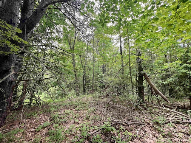 Ball Hill Rd, Milford, NH 03055