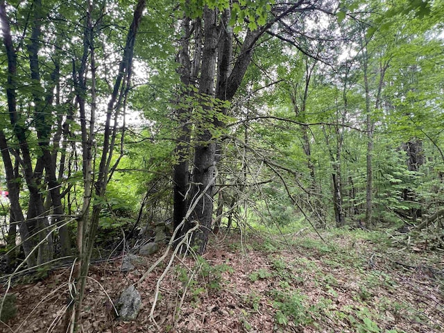 Ball Hill Rd, Milford, NH 03055