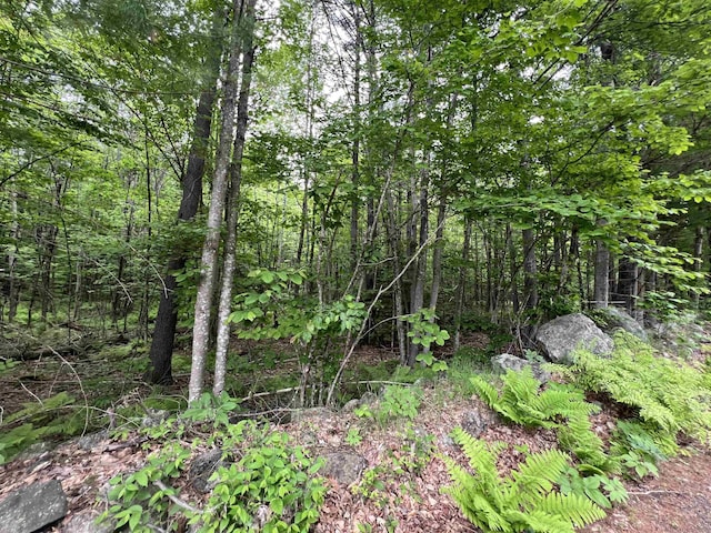 Ball Hill Rd, Milford, NH 03055