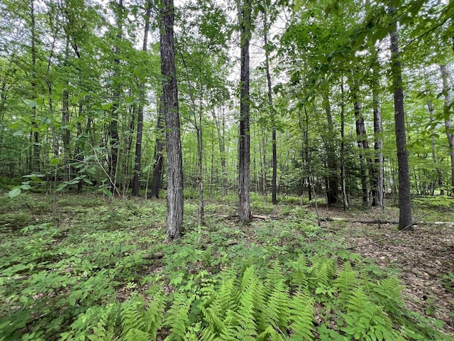 Ball Hill Rd, Milford, NH 03055