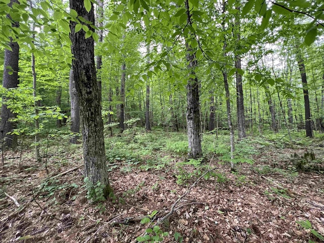 Ball Hill Rd, Milford, NH 03055