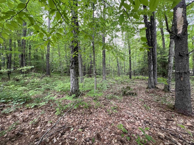 Ball Hill Rd, Milford, NH 03055