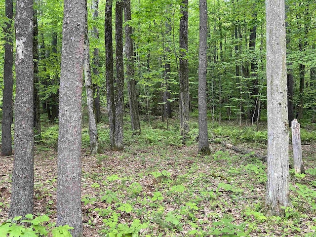 Ball Hill Rd, Milford, NH 03055