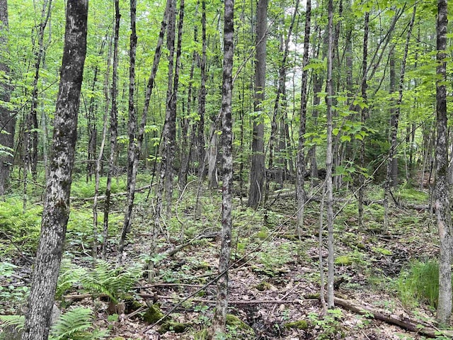 Ball Hill Rd, Milford, NH 03055