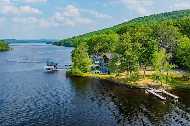 111 Nh Route 4a, Enfield, NH 03748 - water view featuring a heavily wooded area and a boat dock