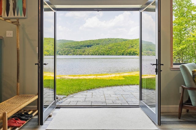 111 Nh Route 4a, Enfield, NH 03748 - doorway to outside with a forest view, a water view, and wood finished floors