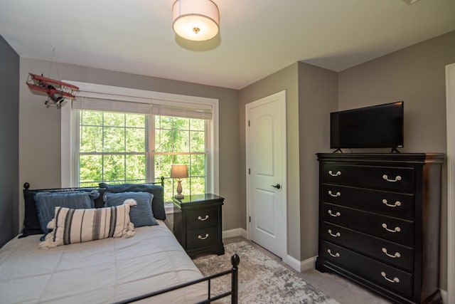 4 Crossman Cir, Newton, NH 03858 - bedroom with light carpet and baseboards