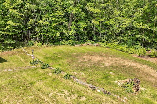230 Pine Hill Rd, Ossipee, NH 03864 - view of yard
