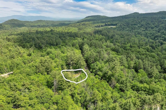230 Pine Hill Rd, Ossipee, NH 03864 - aerial view of a forest and mountains