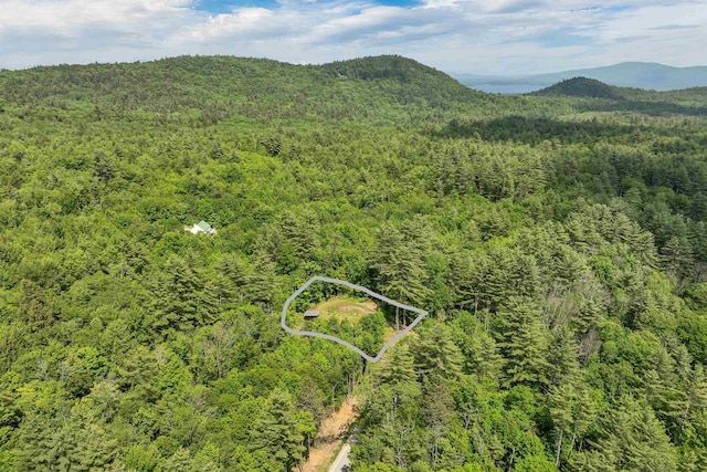230 Pine Hill Rd, Ossipee, NH 03864 - bird's eye view of a forest and a mountainous background