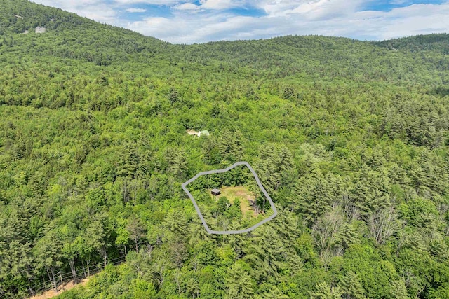 230 Pine Hill Rd, Ossipee, NH 03864 - aerial view of a heavily wooded area