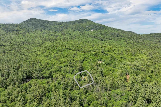 230 Pine Hill Rd, Ossipee, NH 03864 - view of mountain background featuring a forest