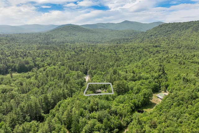 230 Pine Hill Rd, Ossipee, NH 03864 - view of property location featuring a heavily wooded area, a mountainous background, and property parcel outlined