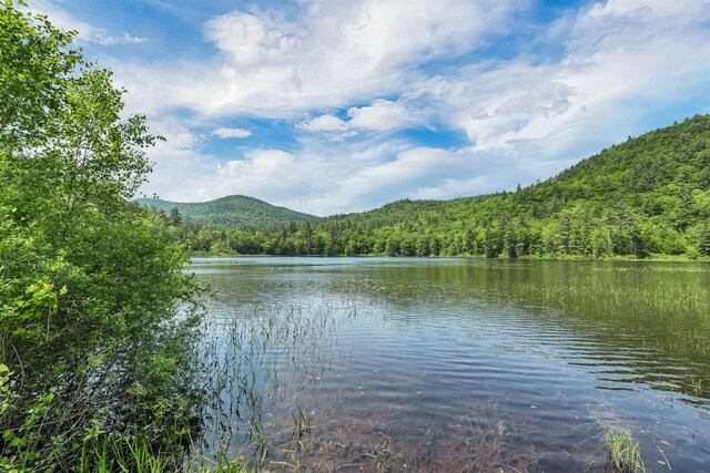 230 Pine Hill Rd, Ossipee, NH 03864 - water view with a heavily wooded area