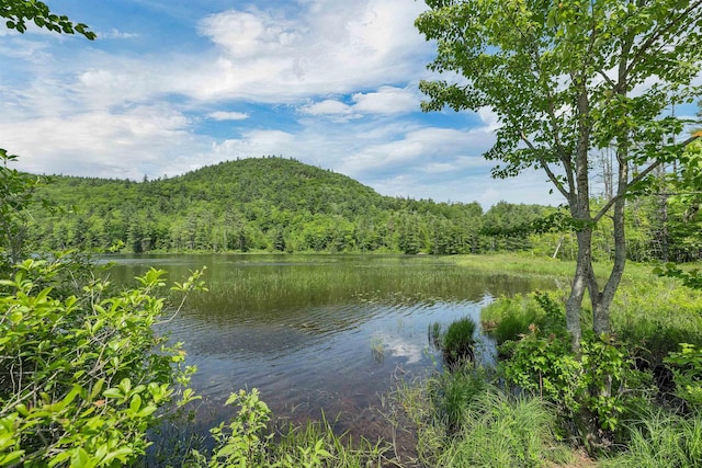 230 Pine Hill Rd, Ossipee, NH 03864 - water view with a heavily wooded area