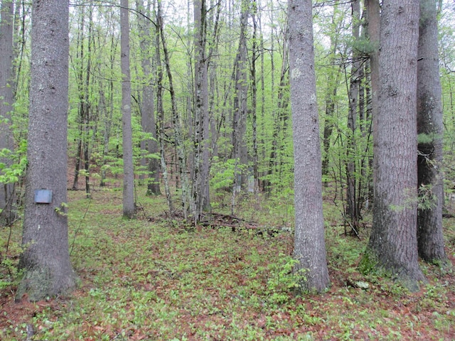 72 Brewster Rd, Barrington, NH 03825
