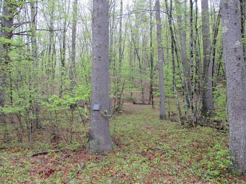 72 Brewster Rd, Barrington, NH 03825