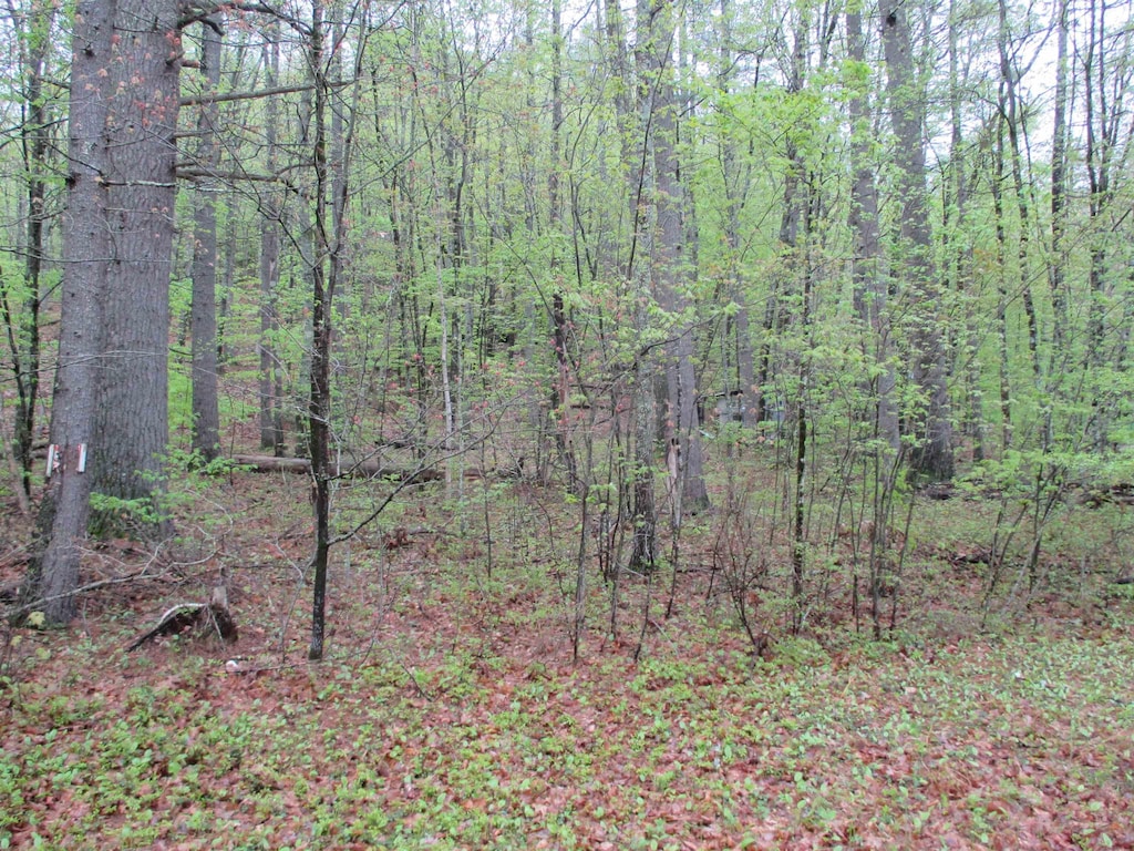 72 Brewster Rd, Barrington, NH 03825