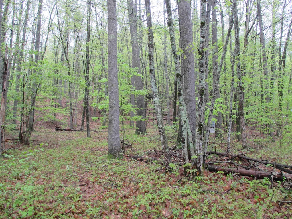 72 Brewster Rd, Barrington, NH 03825
