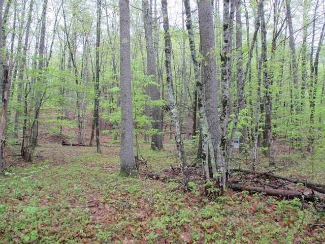 72 Brewster Rd, Barrington, NH 03825