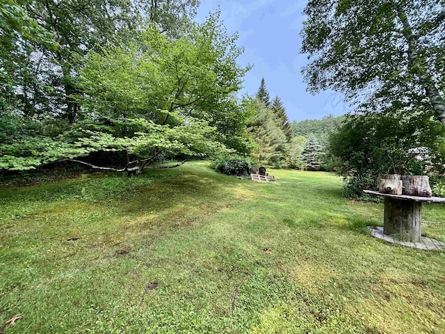 4 Mount Vernon Dr, Pelham, NH 03076 - view of green lawn with a wooded view