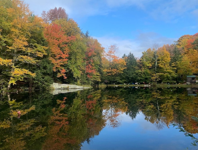 27 Stearns Ave, Wilmington, VT 05363 - water view featuring a forest