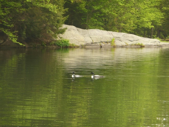 27 Stearns Ave, Wilmington, VT 05363 - water view featuring a heavily wooded area